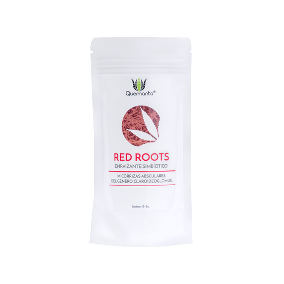Quemanta - Red Roots