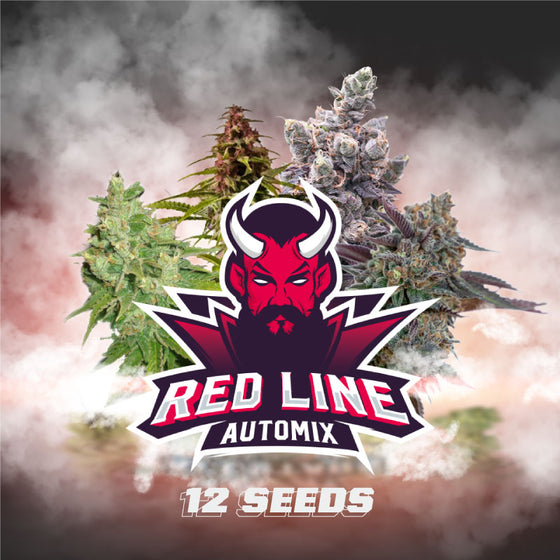 BSF Seeds Red Line Mix 12 Unidades