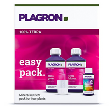  Easy Pack Terra Plagron + Regalo Sugar Royal + Semilla