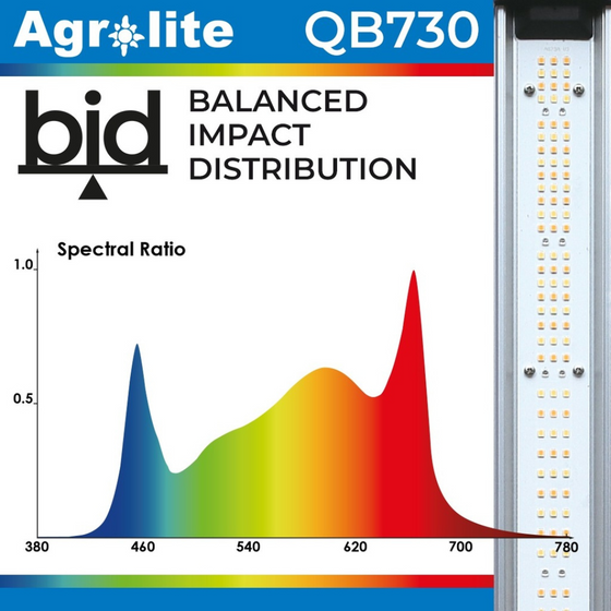 AGROLITE LED Quantum Board QB 730W 2.9